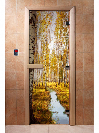 Дверь Фотопечать артикул № А082 "DoorWood"